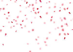 Confetti PNG-87001